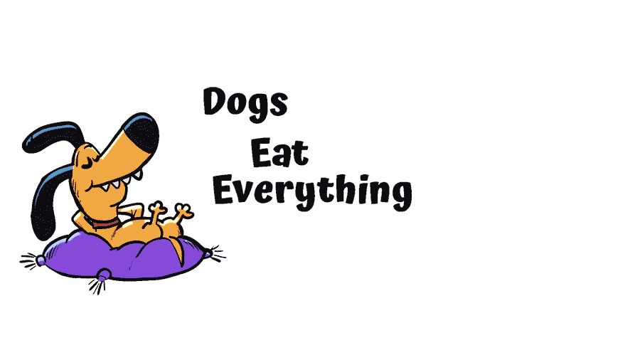 Do Dogs Ever Stop Eating Everything at Leona Shultz blog
